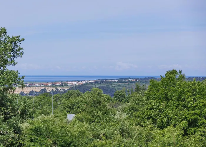 Feriehus Dlan By Interhome Tar-Vabriga